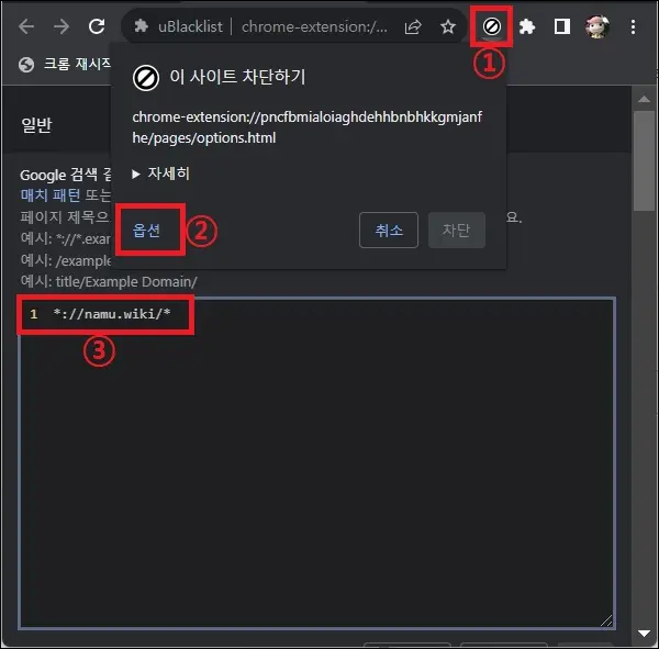 사이트 차단 확장 프로그램 옵션