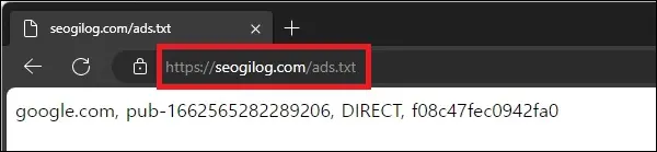 도메인에서 ads.txt 접속 확인