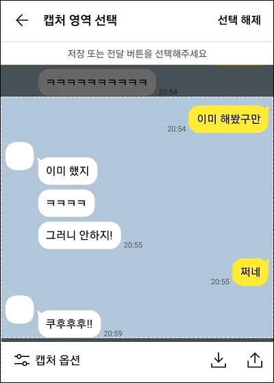 카카오톡 캡처 영역 선택