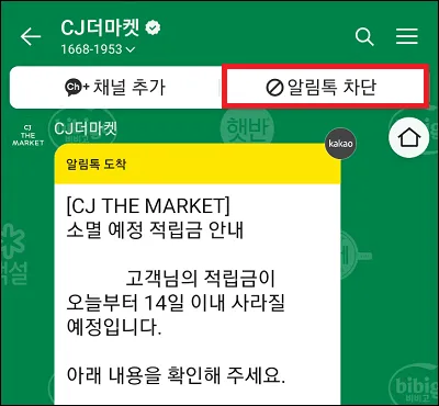 카카오톡 채팅방 광고 메시지 차단하기